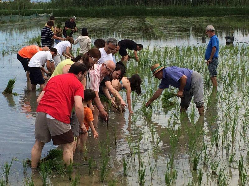 Safari eco-cultural pel Delta de l’Ebre