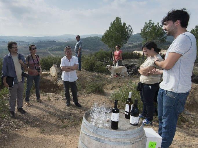 Vins a les trinxeres