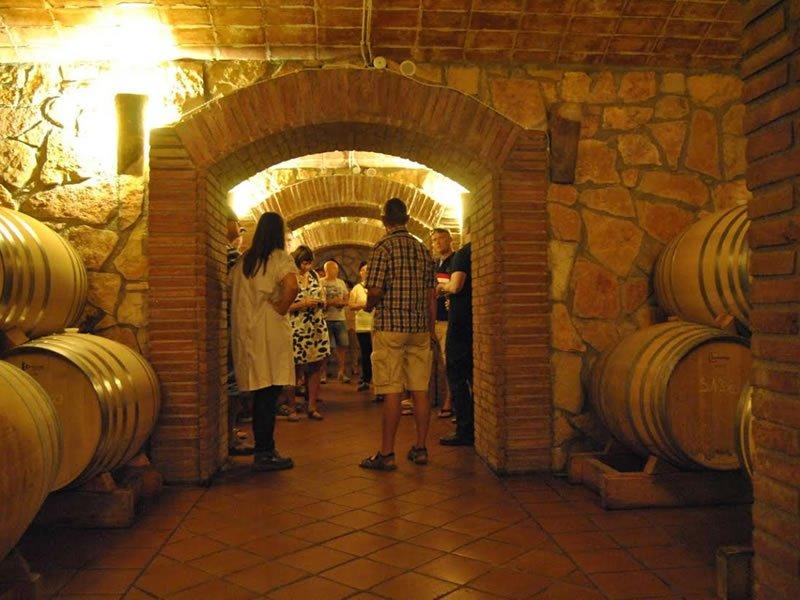 Visita al Celler Piñol i tast de vins