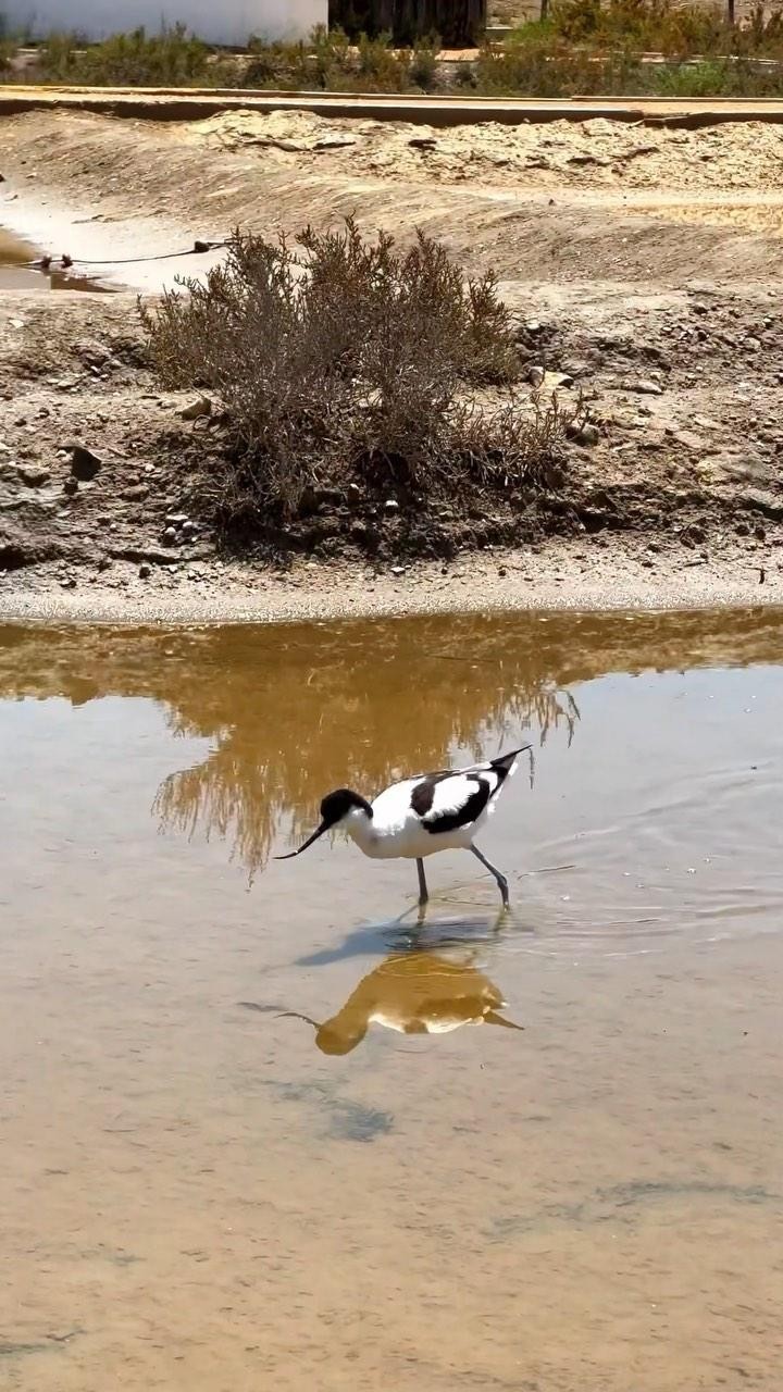 Busqueu activitats per gaudir les Terres de l’Ebre en…
