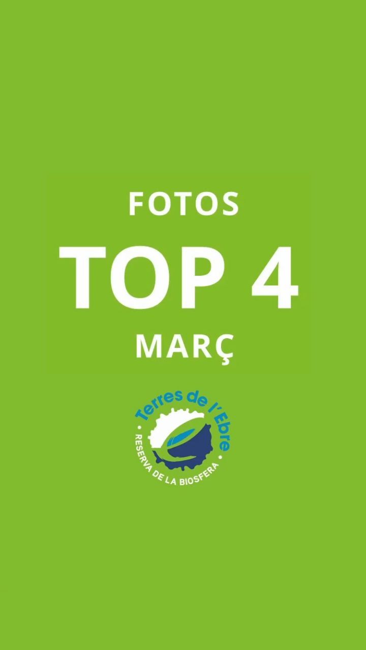 Donem la benvinguda al mes d’abril tot recordant les…