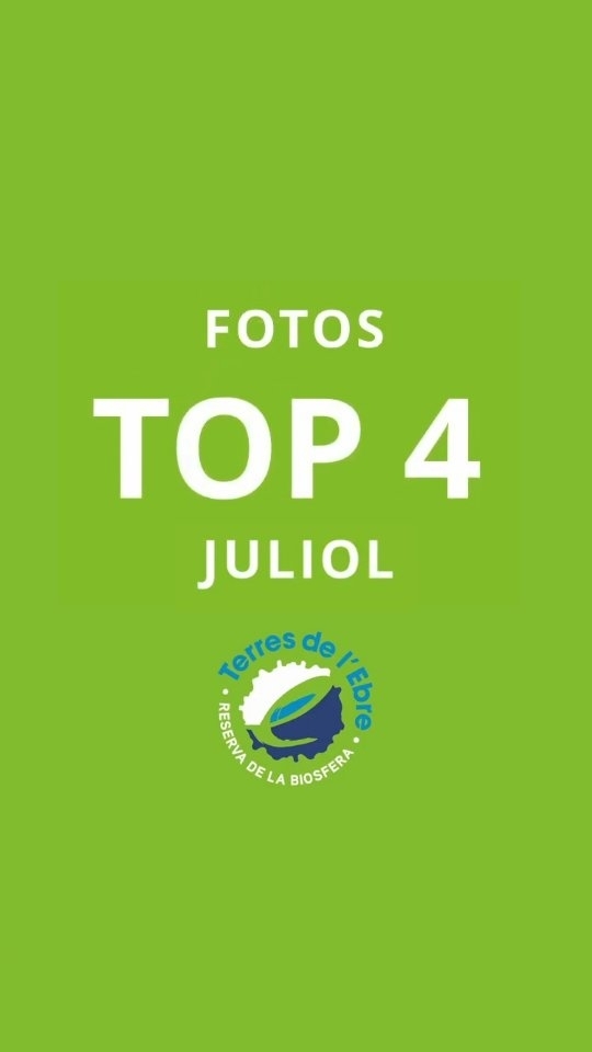 Us presentem les fotografies de les Terres de l'Ebre que…