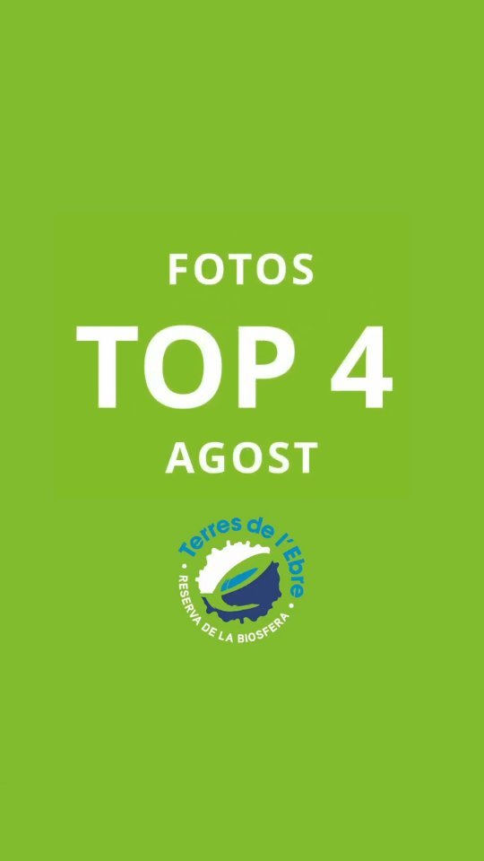 Primer dia de setembre! Aquestes són les fotografies de les…