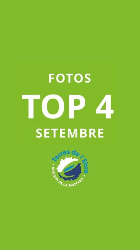 Ja tenim aquí l'octubre! Us presentem les fotografies de…