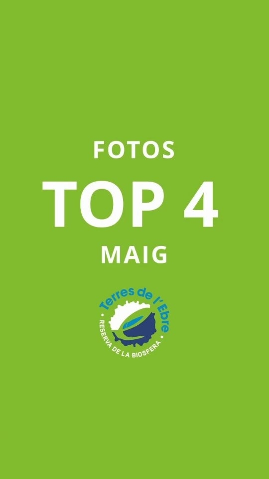 Us presentem les fotografies de les Terres de l'Ebre que…
