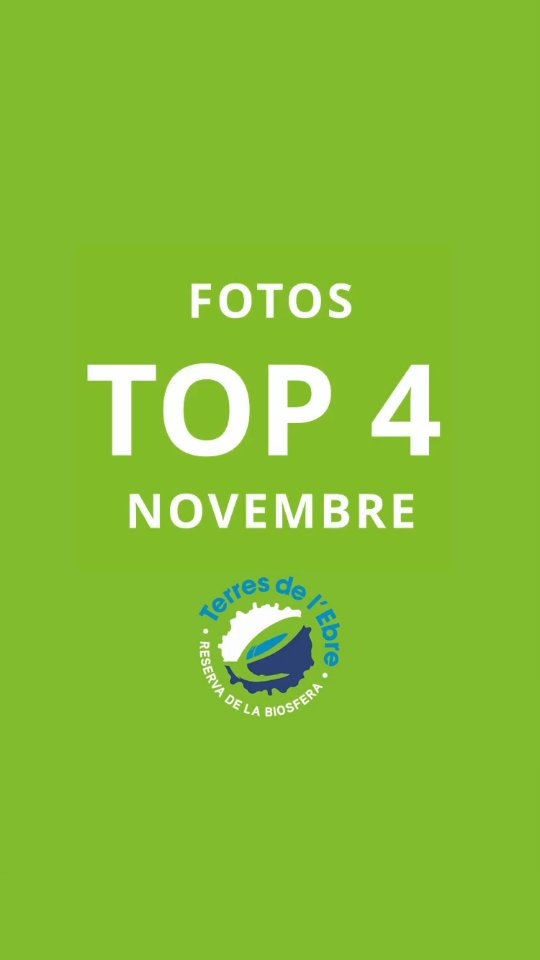 S'acaba el novembre, un mes ple d'instants viscuts a les…