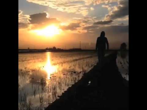 Paisatge - Paisaje
