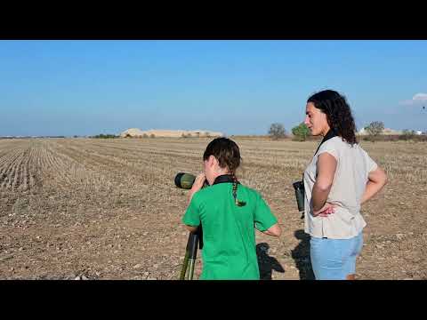 Birding Ebre Pirineus