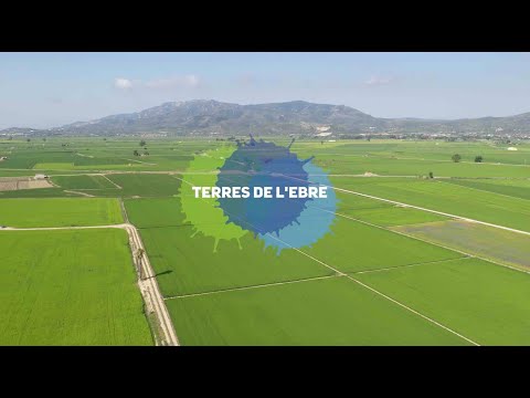 Terres de l'Ebre, l'essència que ens defineix