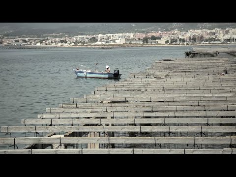 Ruta a les muscleres del Delta