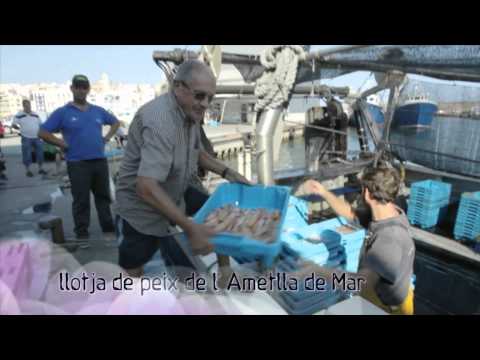 Turisme Terres de l'Ebre - Gastronomia i Enoturisme