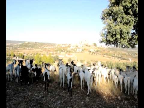 Turisme Terres de l'Ebre Turisme Rural