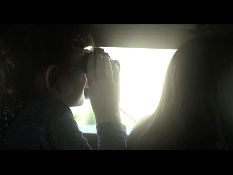 Observació d'ocells a Flix