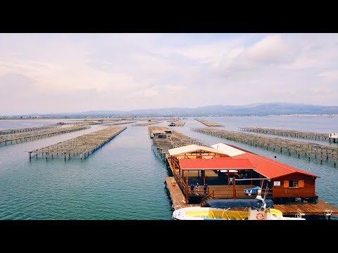 Pescaturisme a les Terres de l'Ebre / Pescaturismo en les Terres de l'Ebre