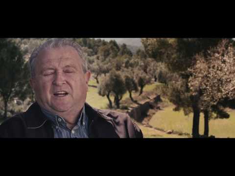 Salvador Miralles TTE