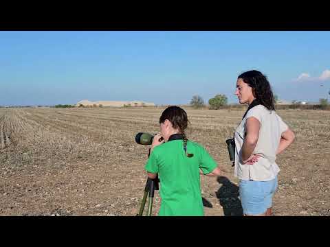 Birding Ebre Pirineus