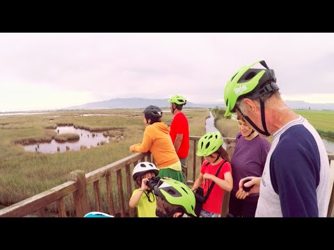 En bicicleta elèctrica pel Delta