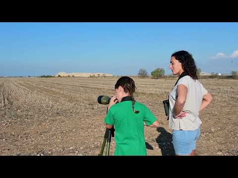 Birding Ebre Pirineus